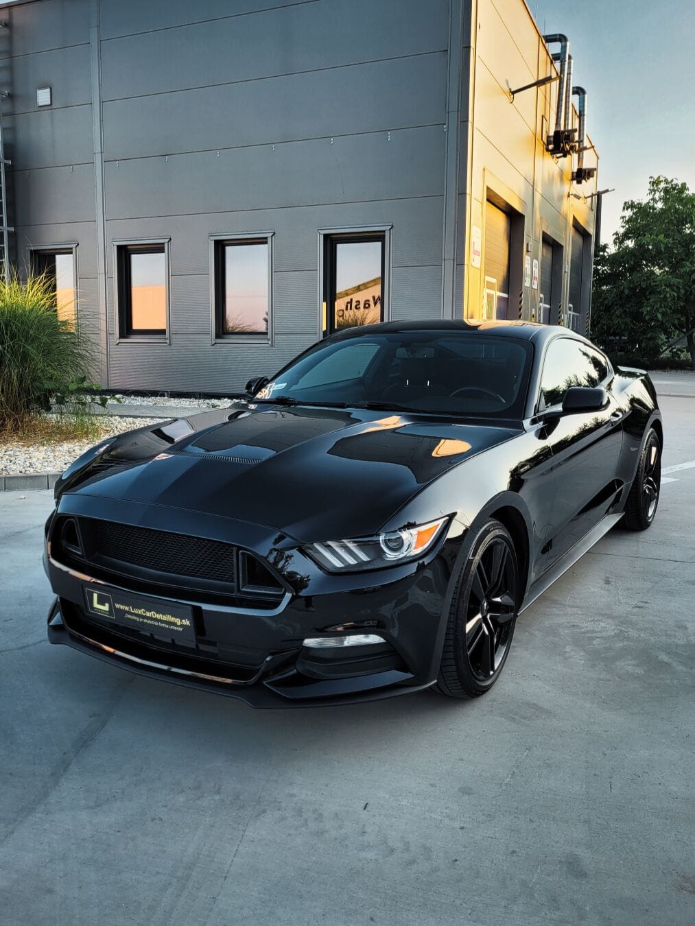 Polírozás és kerámia Ford Mustang